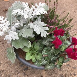 Planter Arrangement